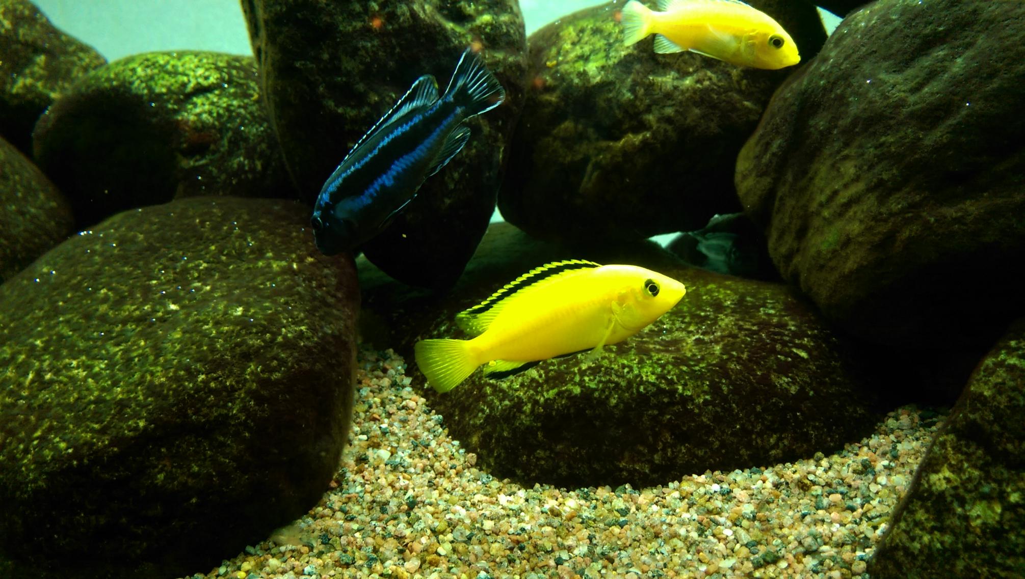 IMAG0487.jpg