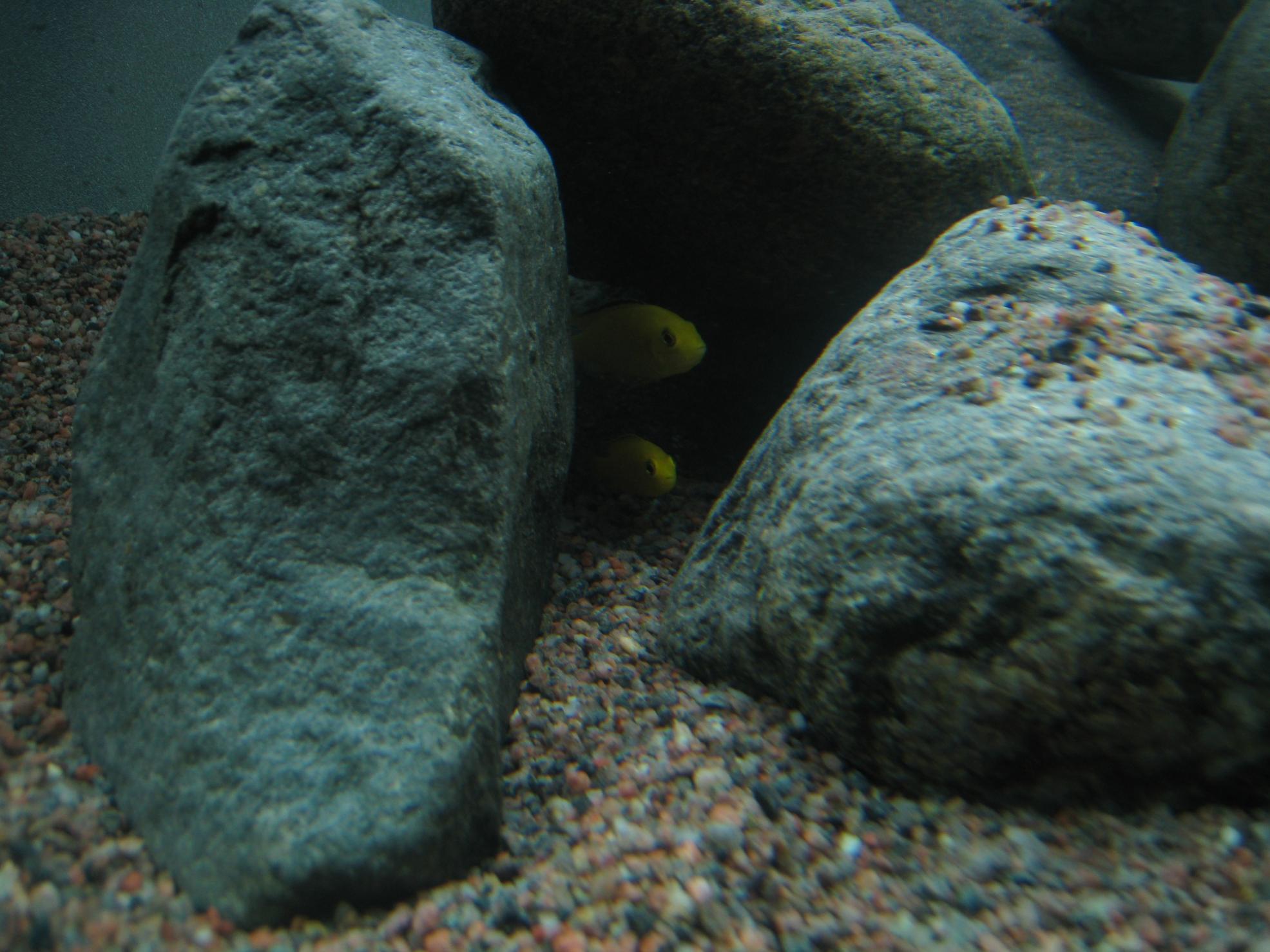 IMG_9807.jpg