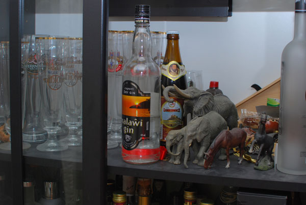 gin.jpg