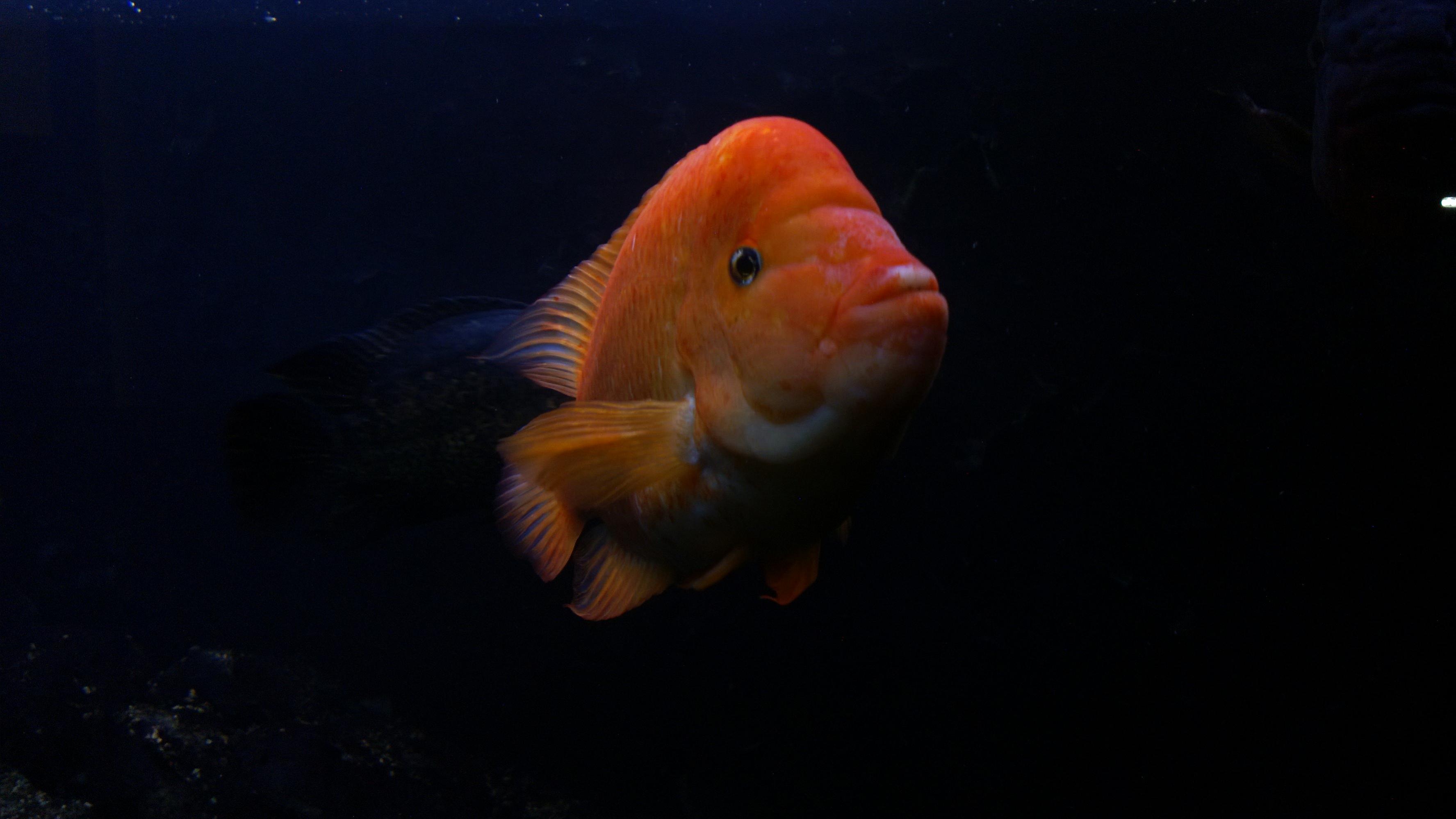 WP_20130205_014.jpg