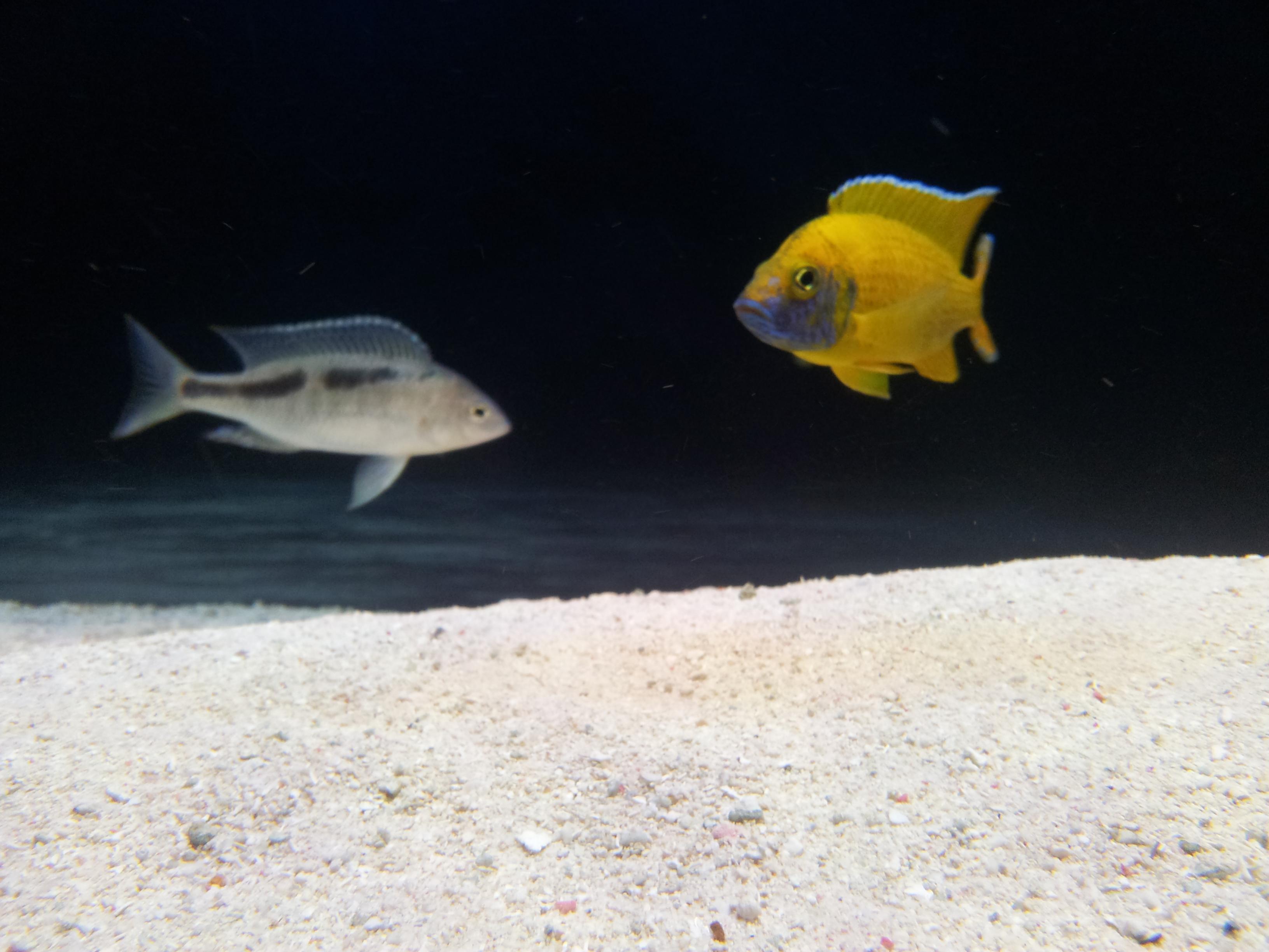 20130209_172111.jpg