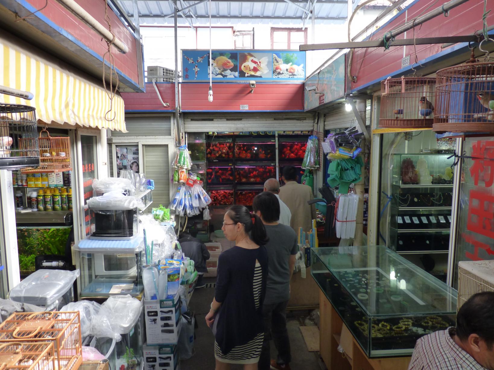 P1080954.jpg