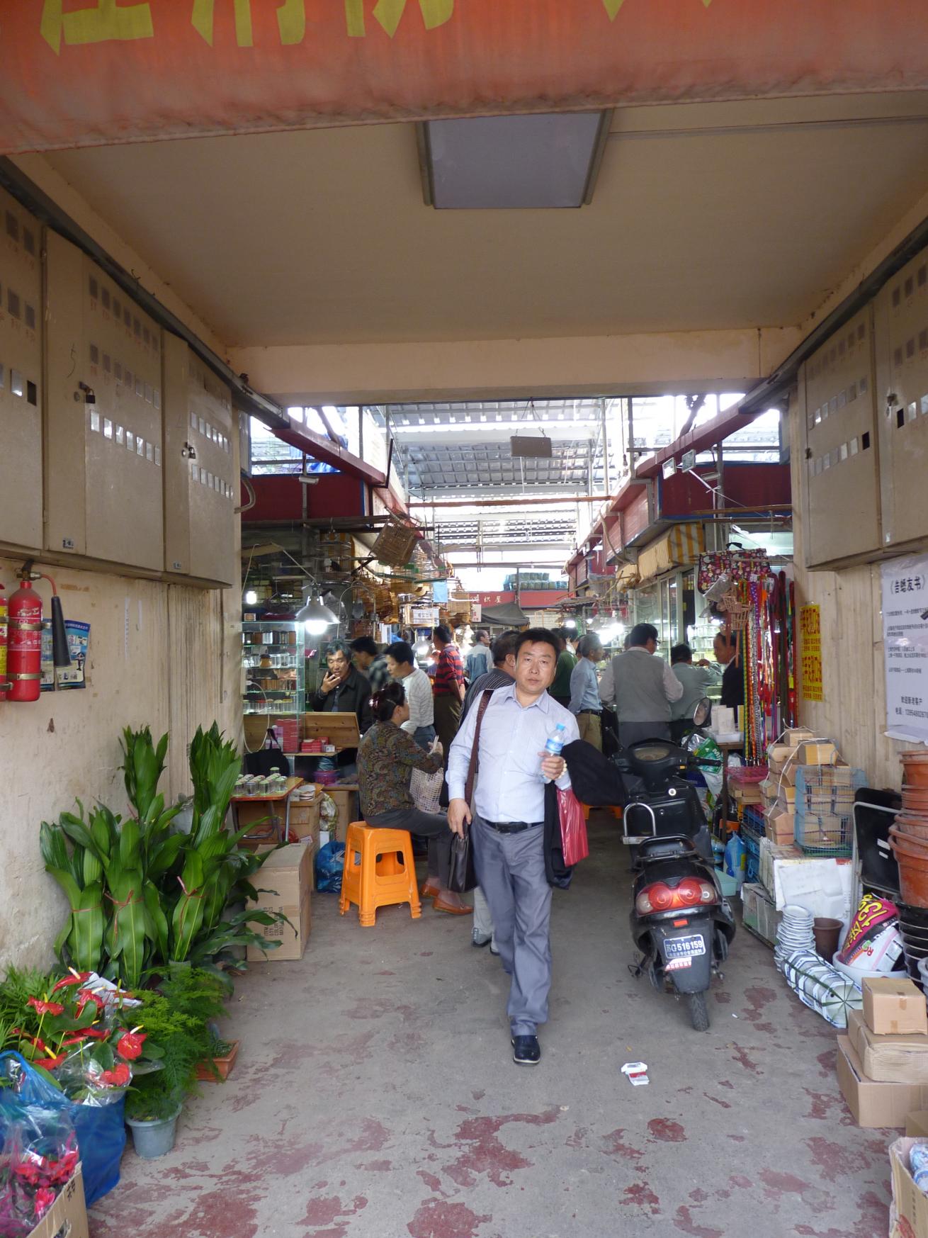 P1090023.jpg