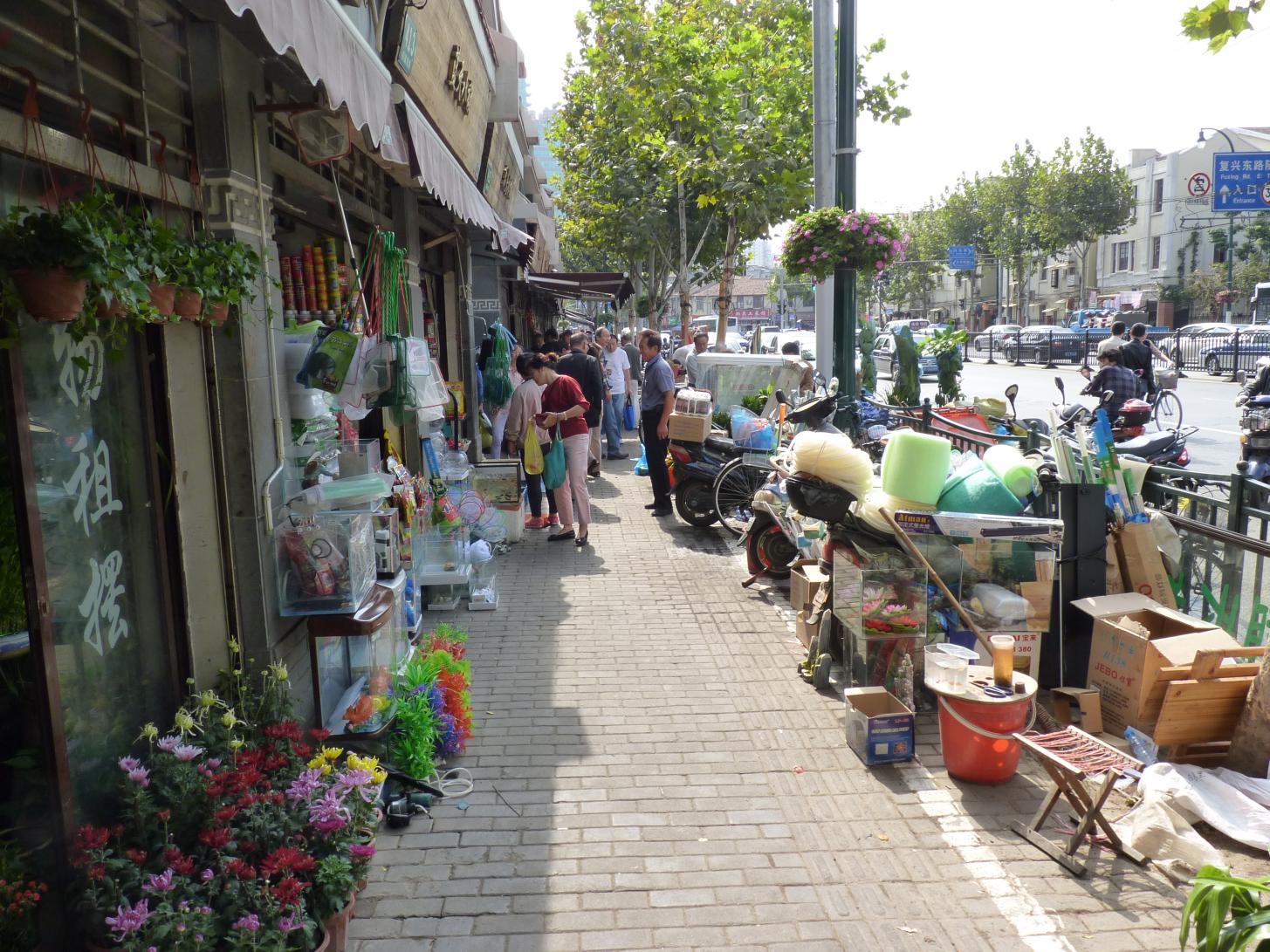 P1090011.jpg