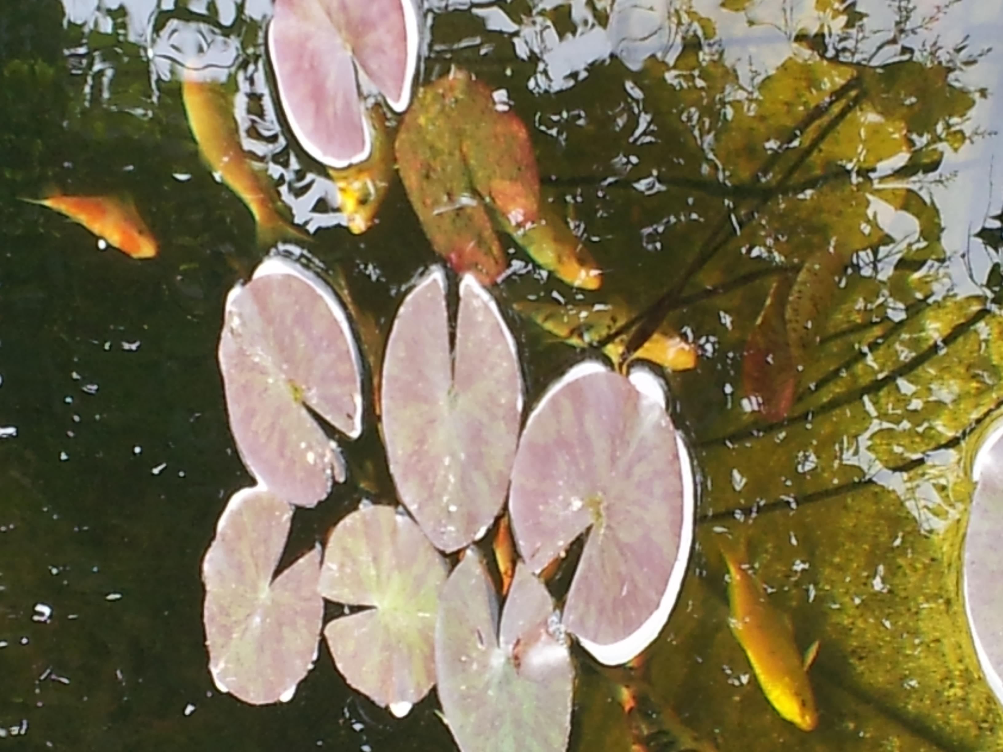 20130720_101109.jpg