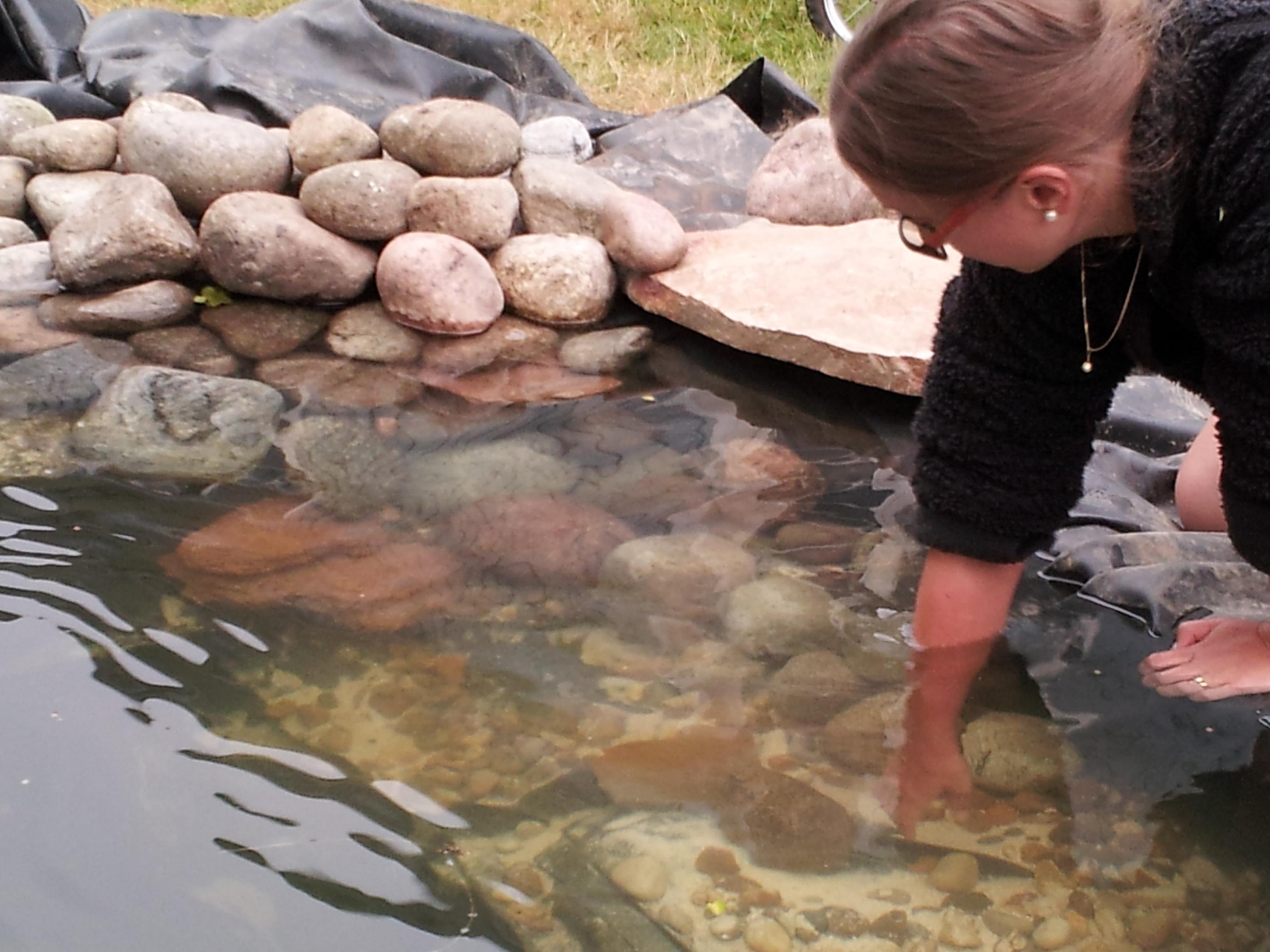 20130626_200531.jpg