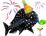 ca-ciklid-logo_newyear.png