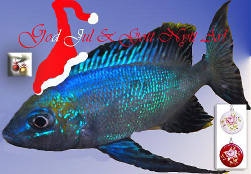 godjul13.jpg