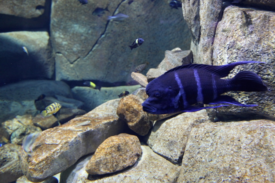 IMG_9694.JPG