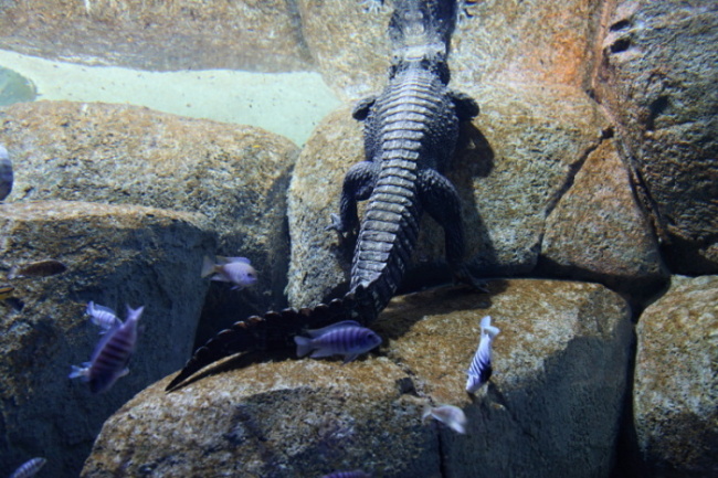 IMG_9676.JPG