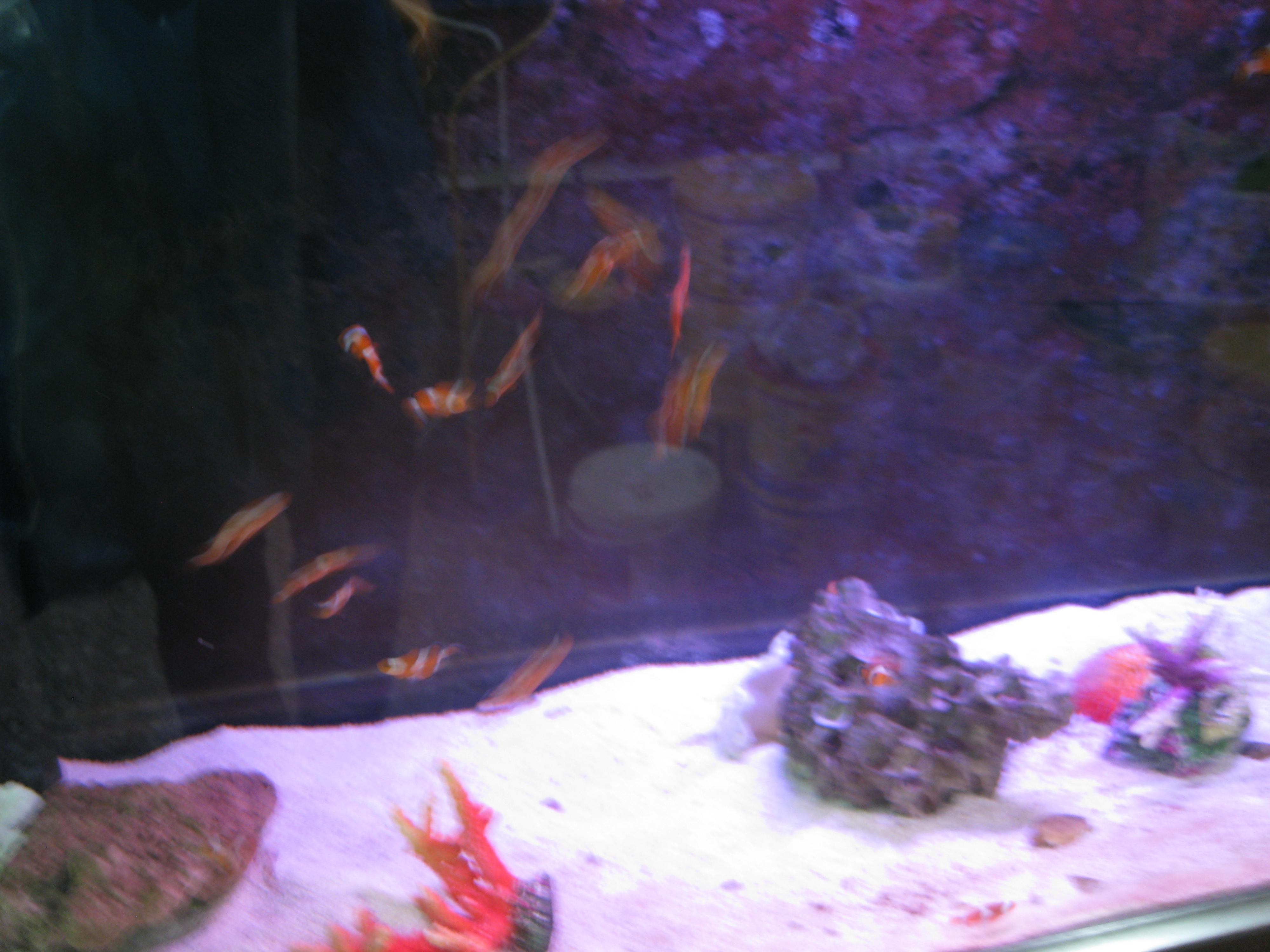 IMG_2175.jpg