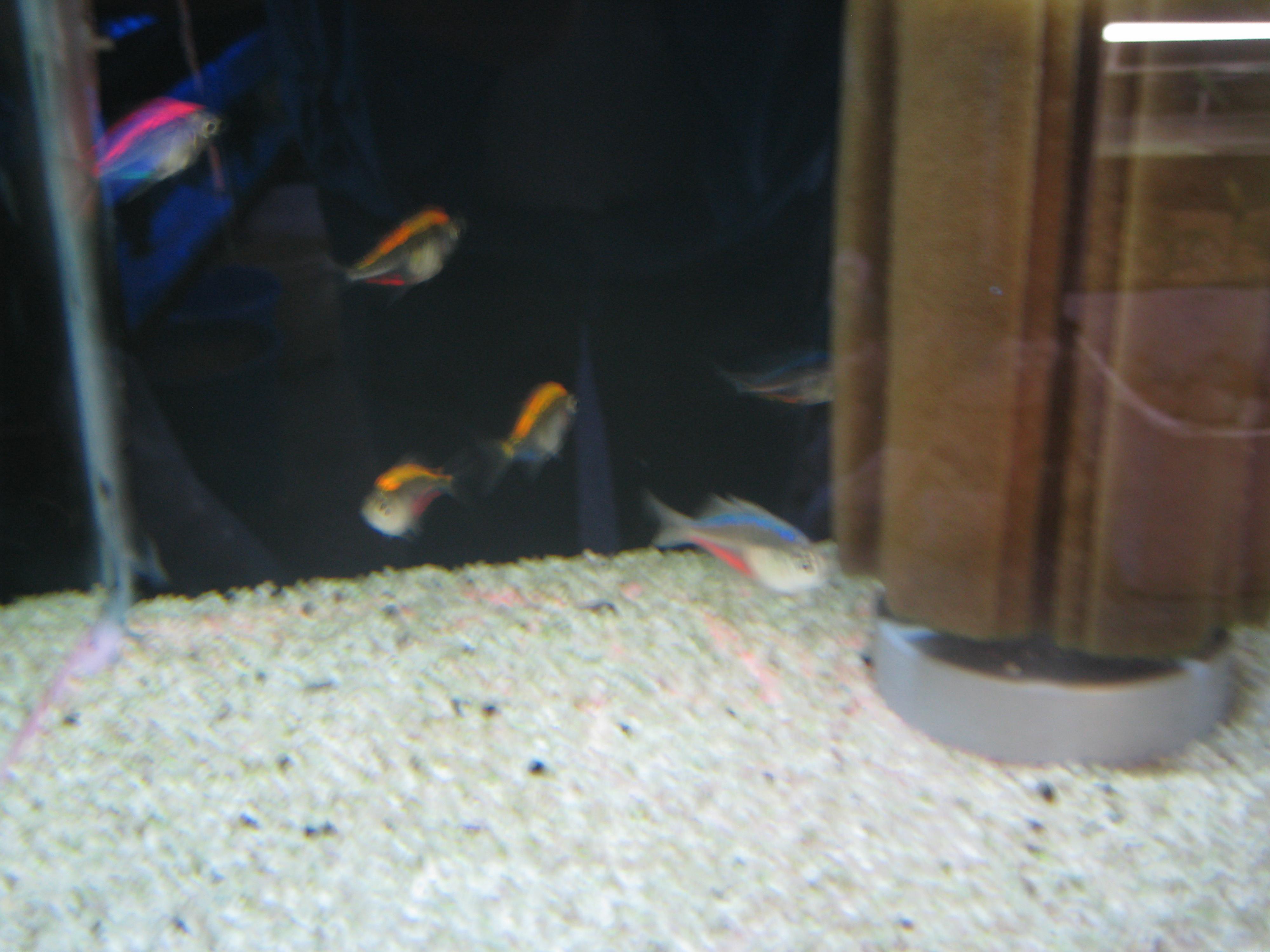 IMG_2164.jpg