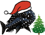 ca-ciklid-logo_xmas.png