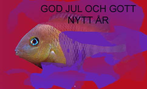 GOD JUL.jpg