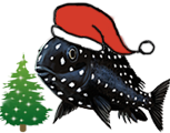 ca-ciklid-logo_xmas_right.png
