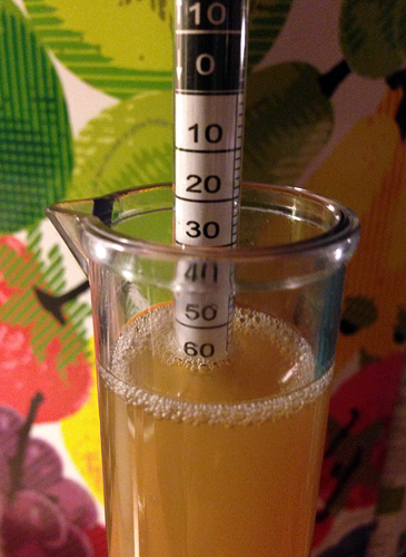saison_2013.jpg